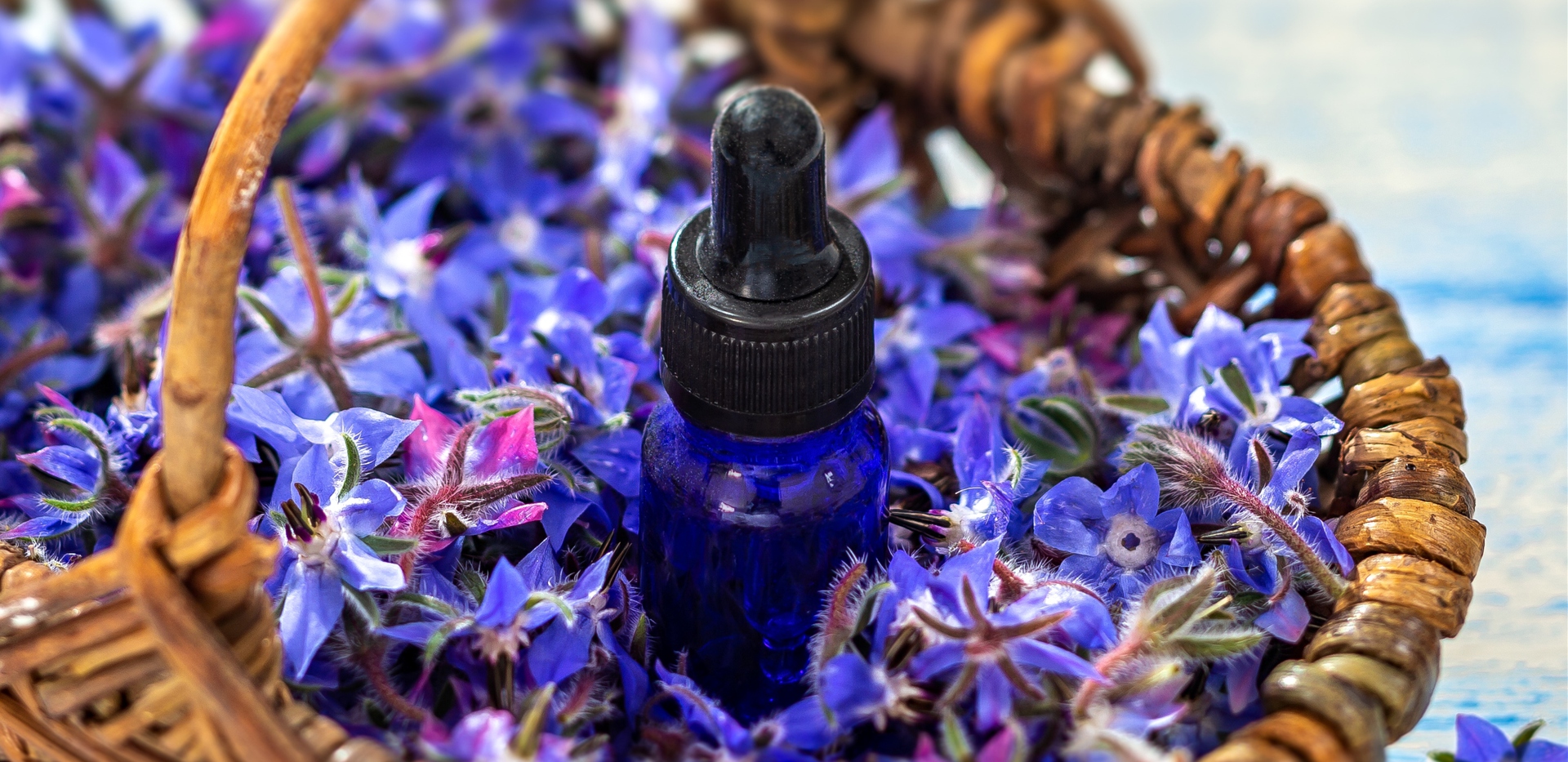 aceite de borraja 1