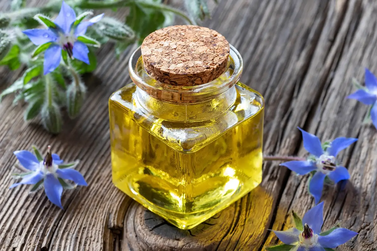 aceite de borraja 16