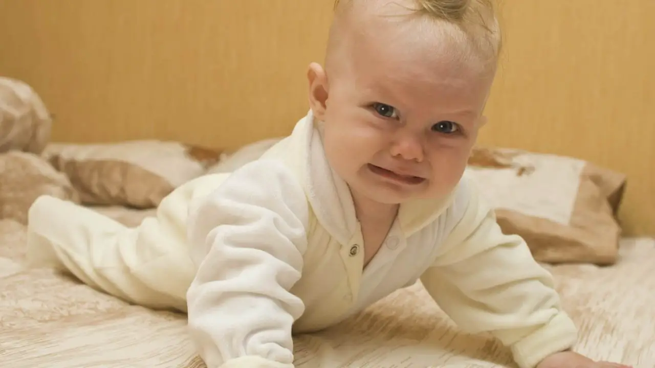 aceite de oliva para bebes 8