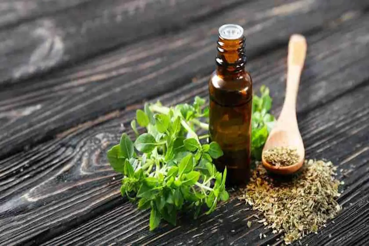 aceite de oregano 9