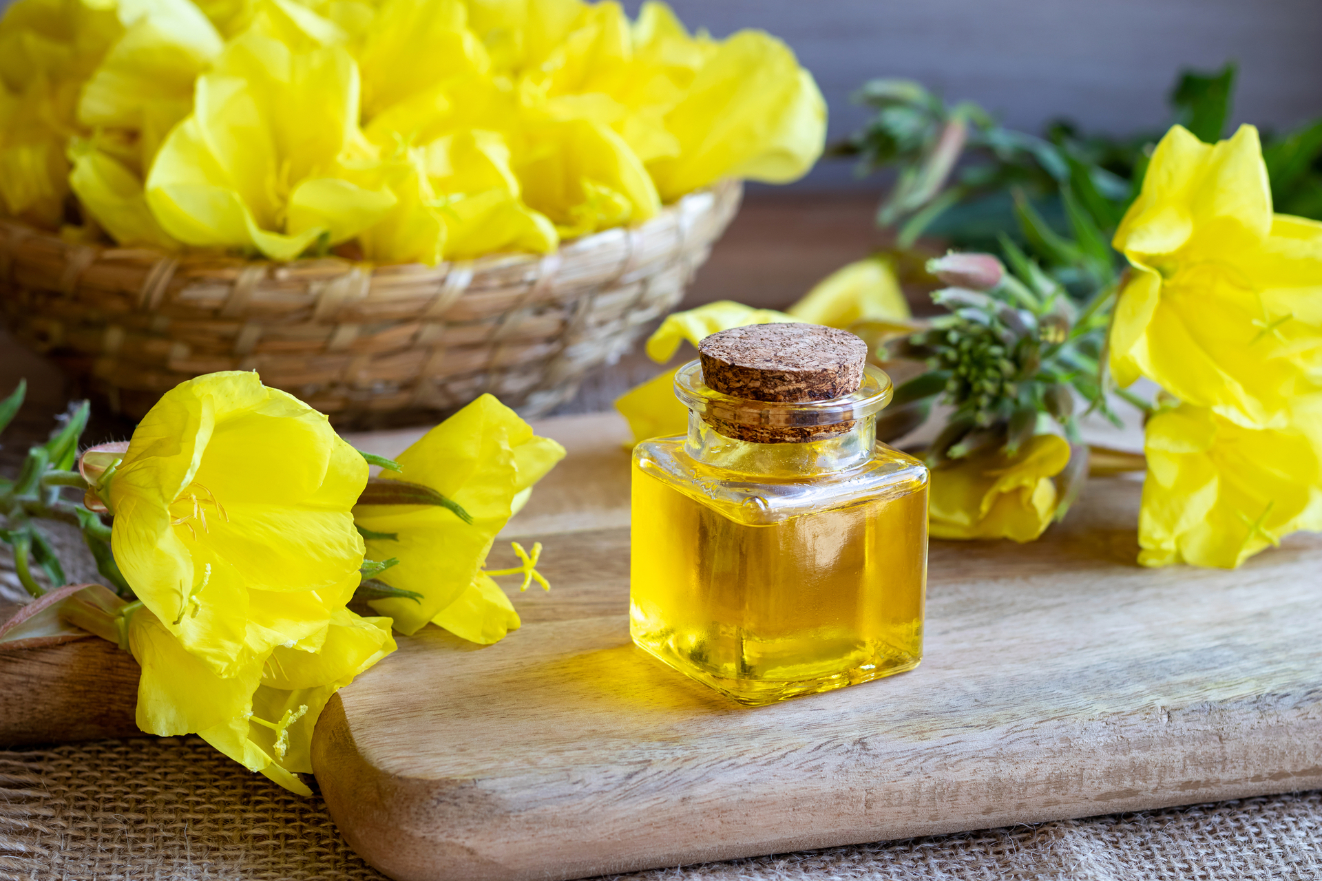 aceite de primula 2