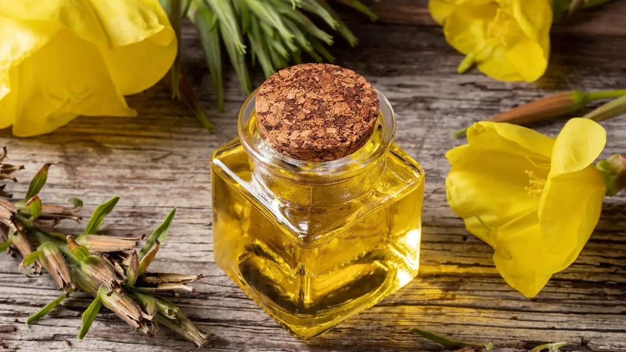 aceite de primula 7