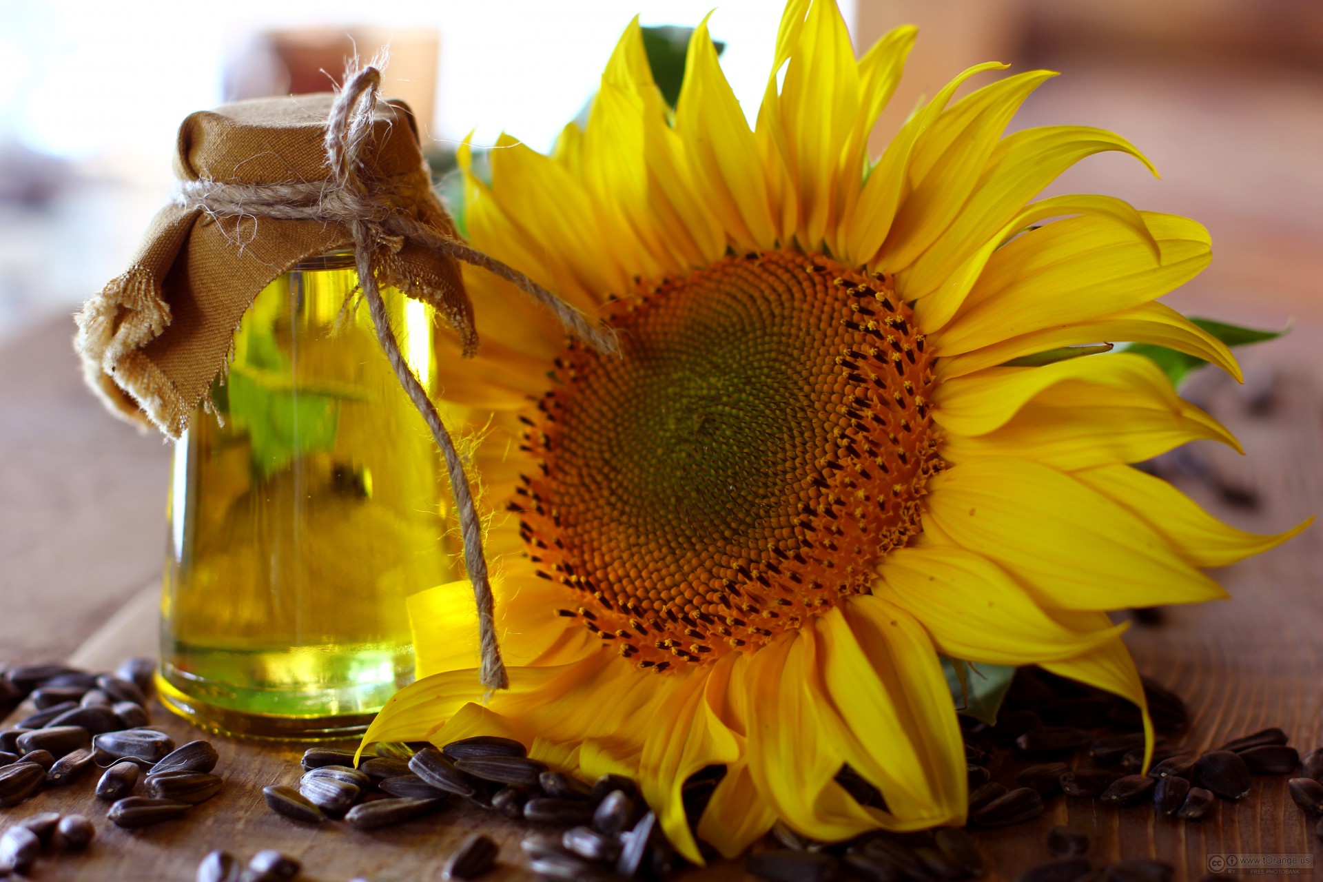 aceite de girasol 11