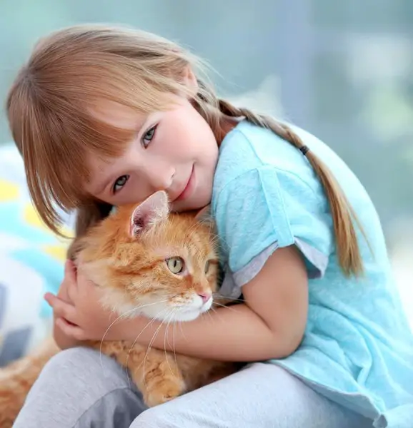 mejor gato para niños mejor gato para niños