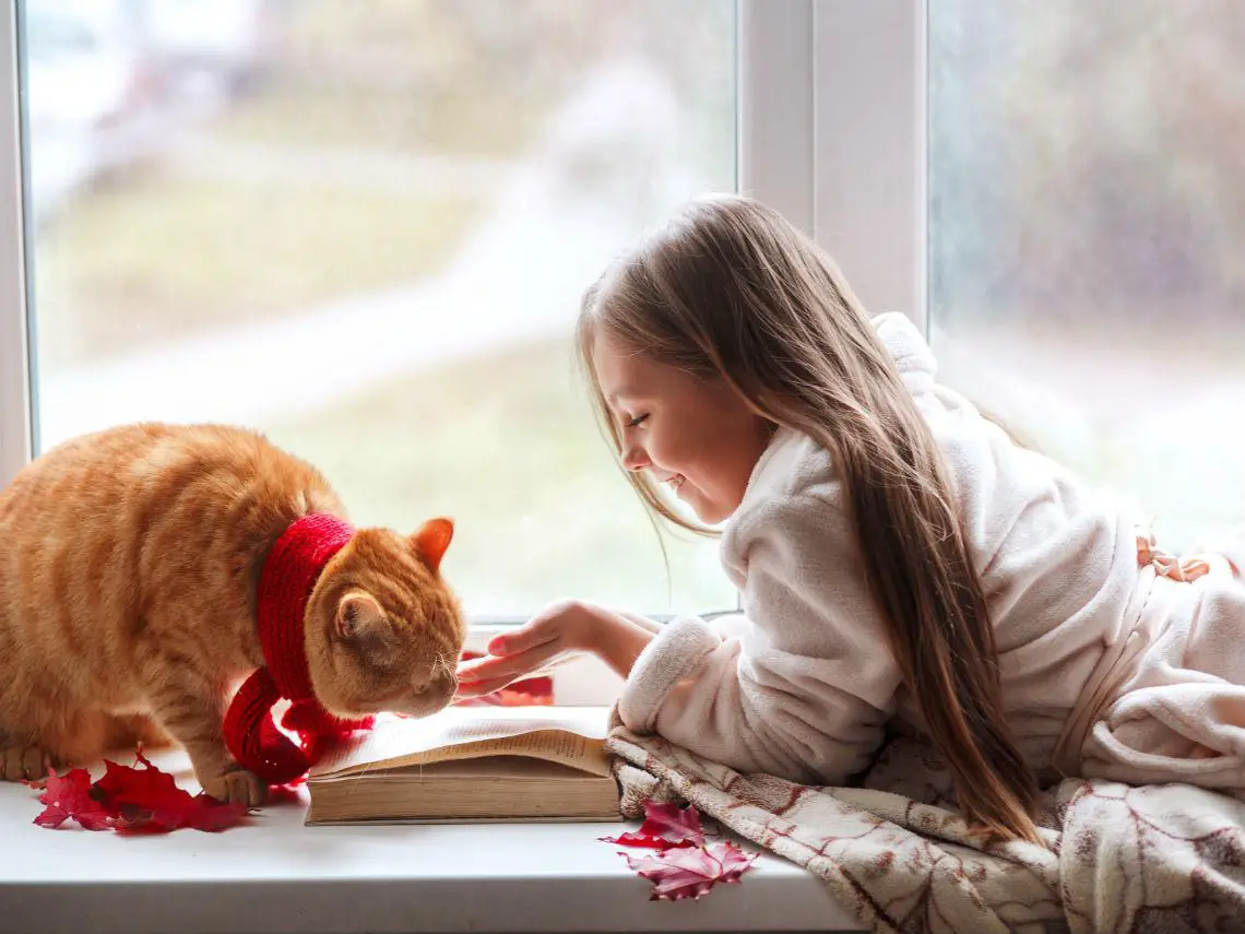 mejor gatos para ninos razas mejor gatos para ninos razas