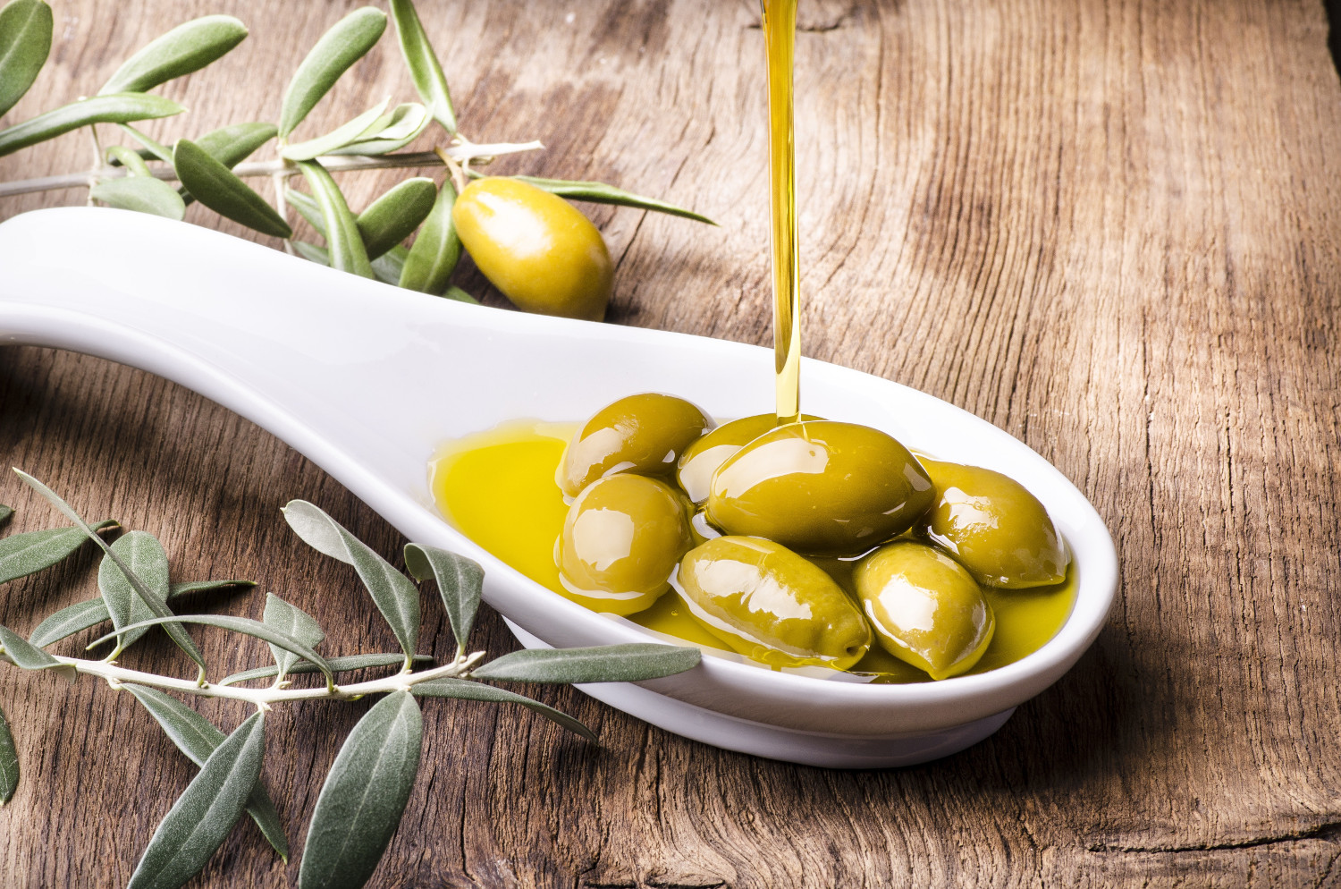 aceite arbequina 4