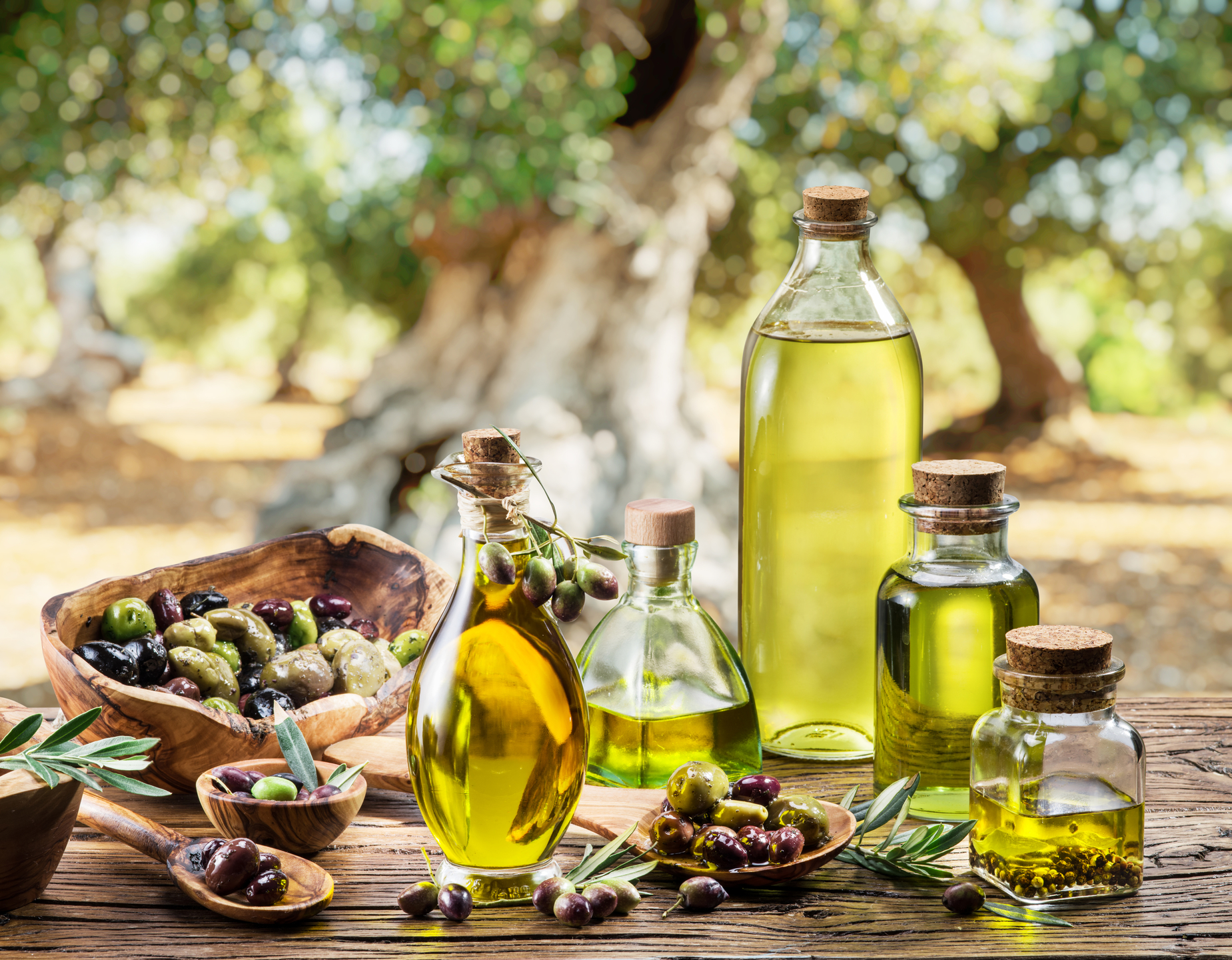 aceite arbequina general
