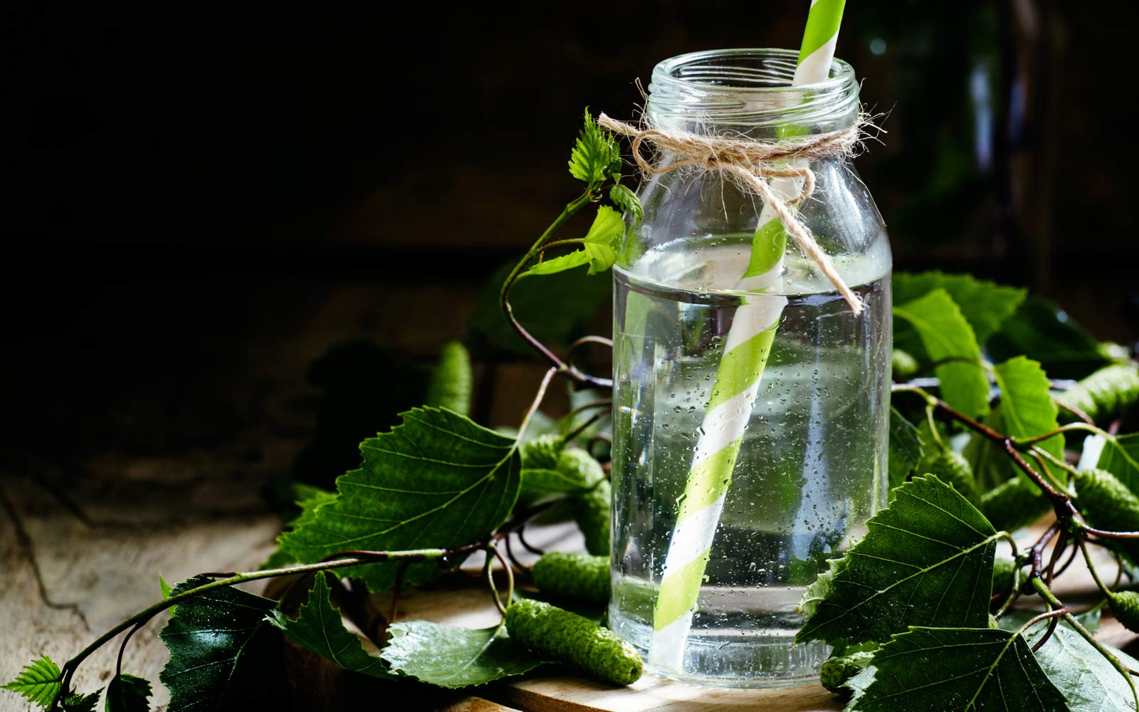 aceite de abedul 1