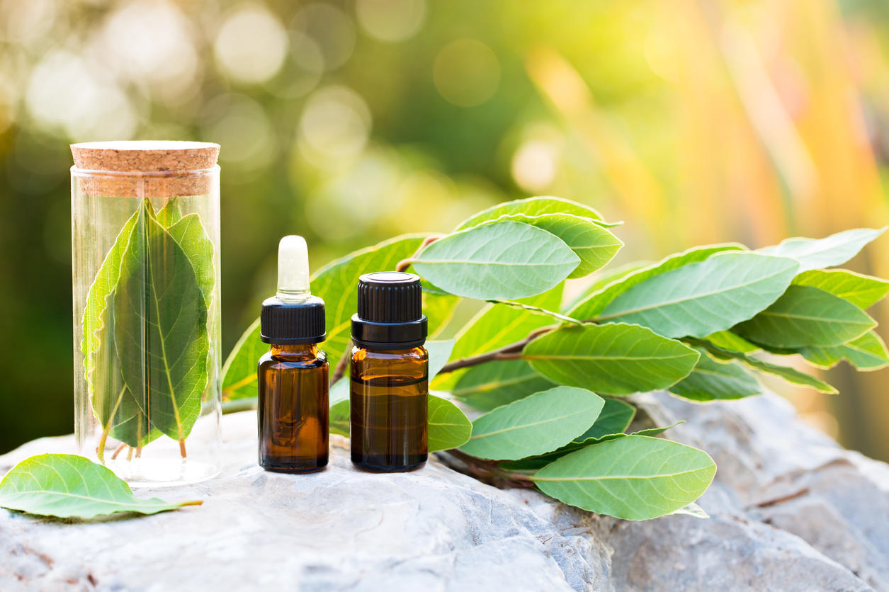 aceite de laurel general