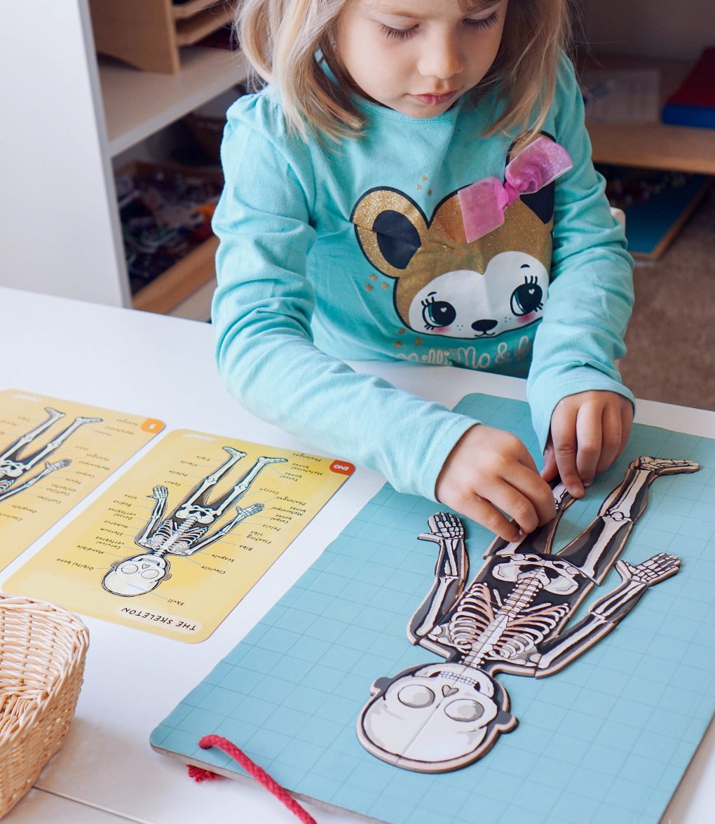 actividades para ninos de preescolar identifica las partes del cuerpo humano actividades para ninos de preescolar identifica las partes del cuerpo humano