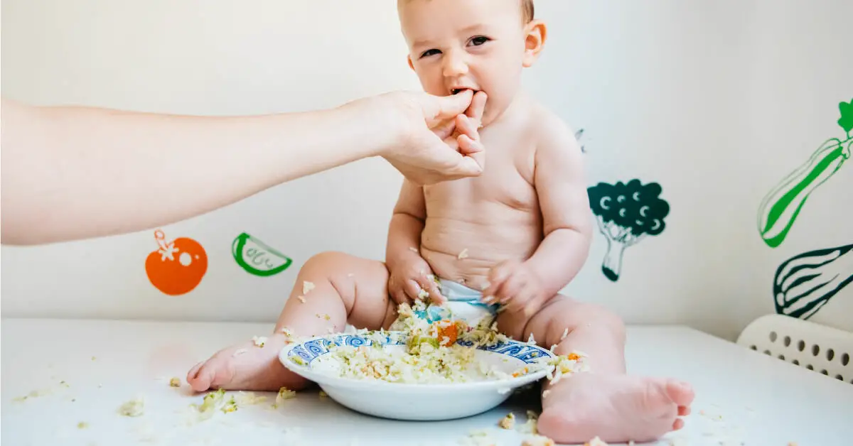 alimentos para bebes de 11 meses proteinas