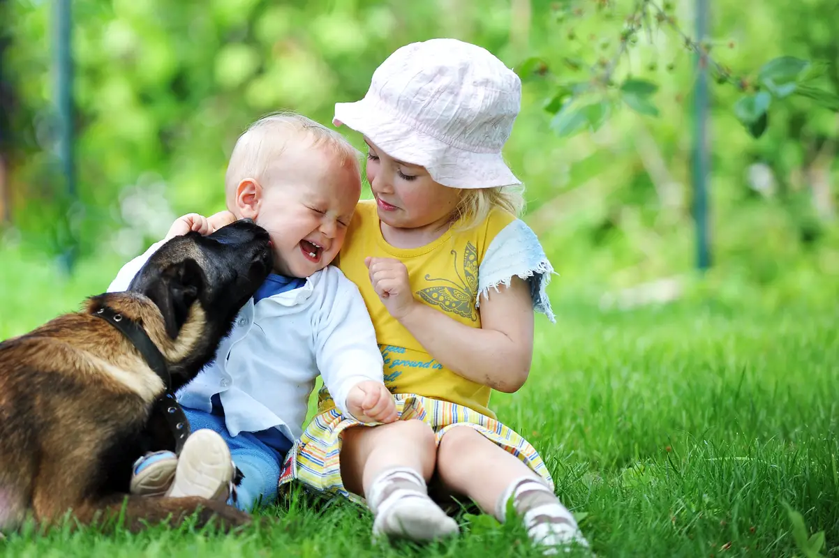 perros para ninos razas