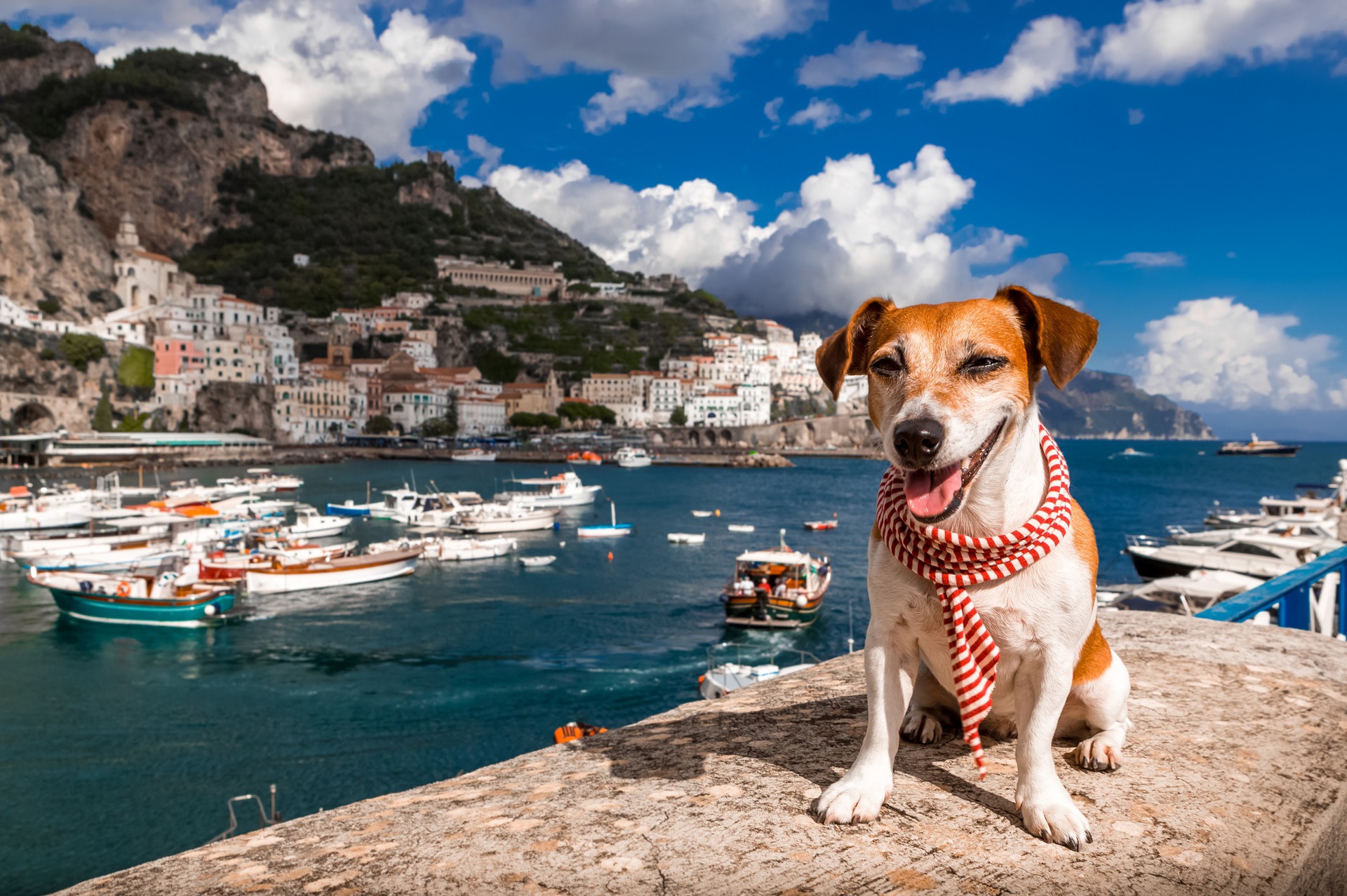 Nombres para perros en italiano machos