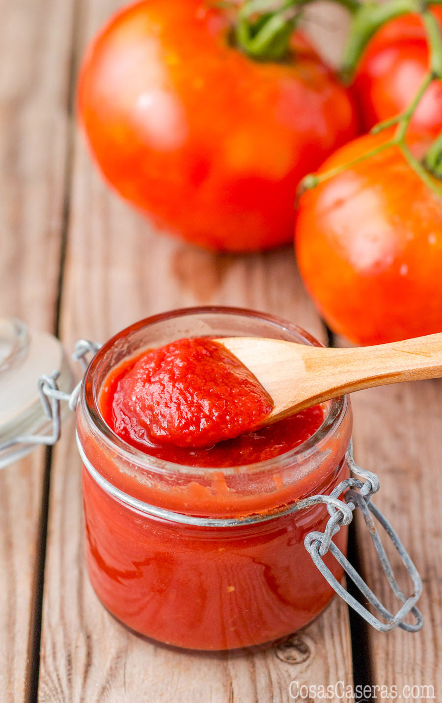 Salsas con tomate Salsas con tomate