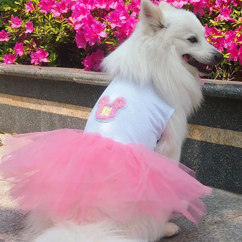nombres para perritas en espanol segun color de pelaje nombres para perritas en espanol segun color de pelaje
