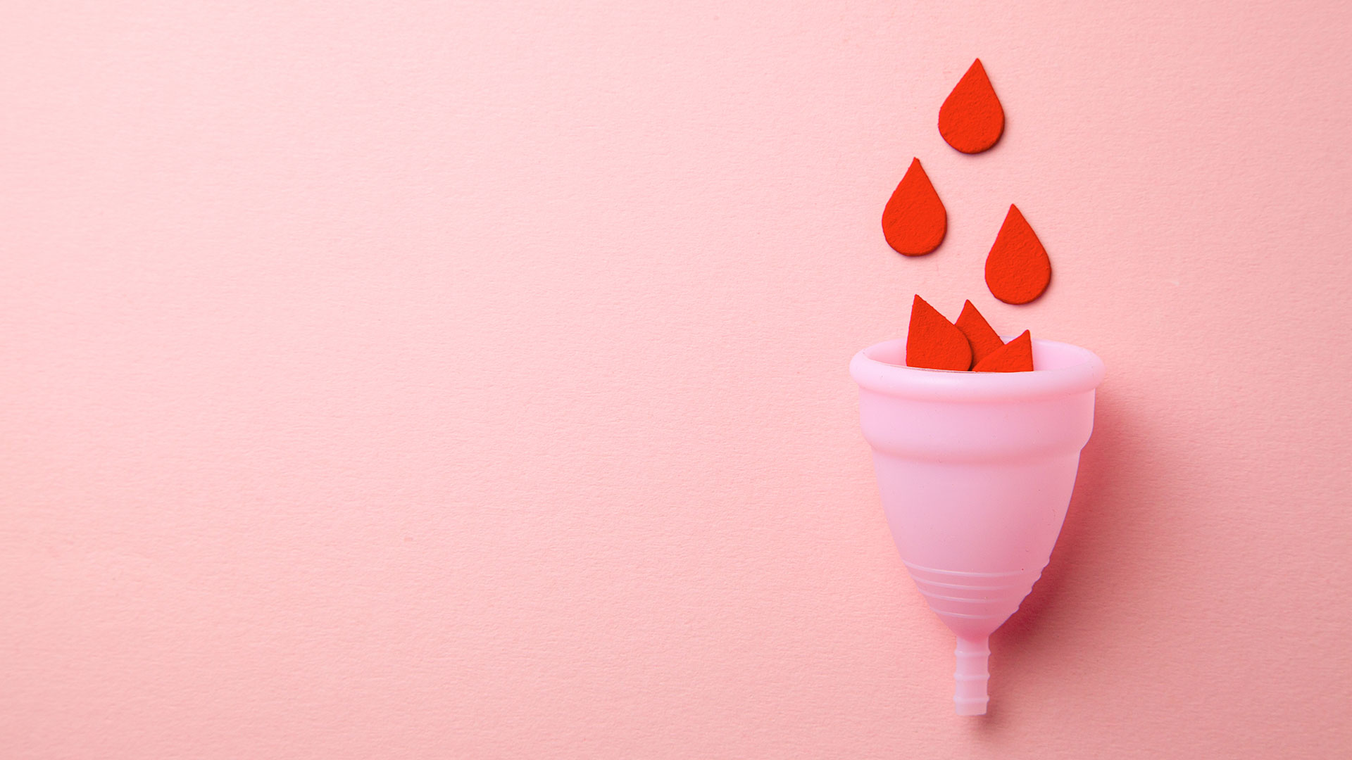 Copas menstruales 8