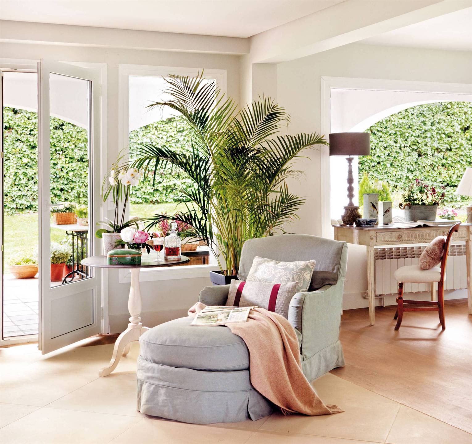Plantas grandes de interior 4
