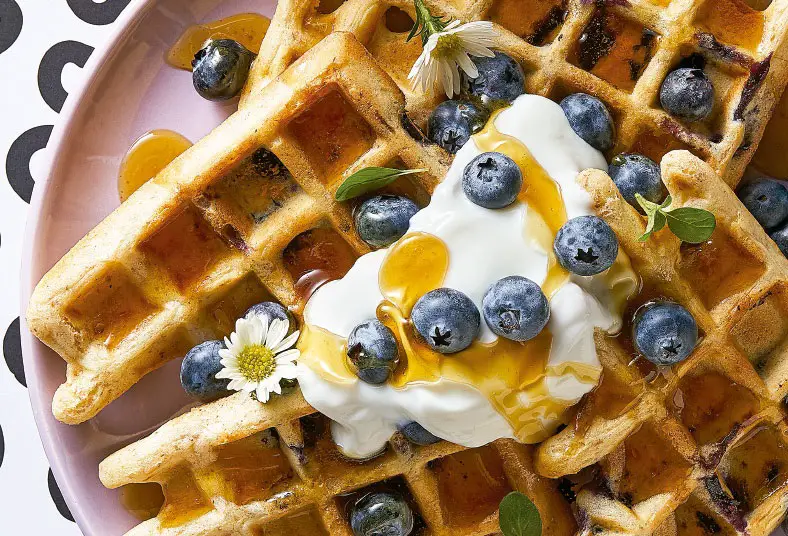 Postres veganos fáciles y económicos Postres veganos fáciles y económicos
