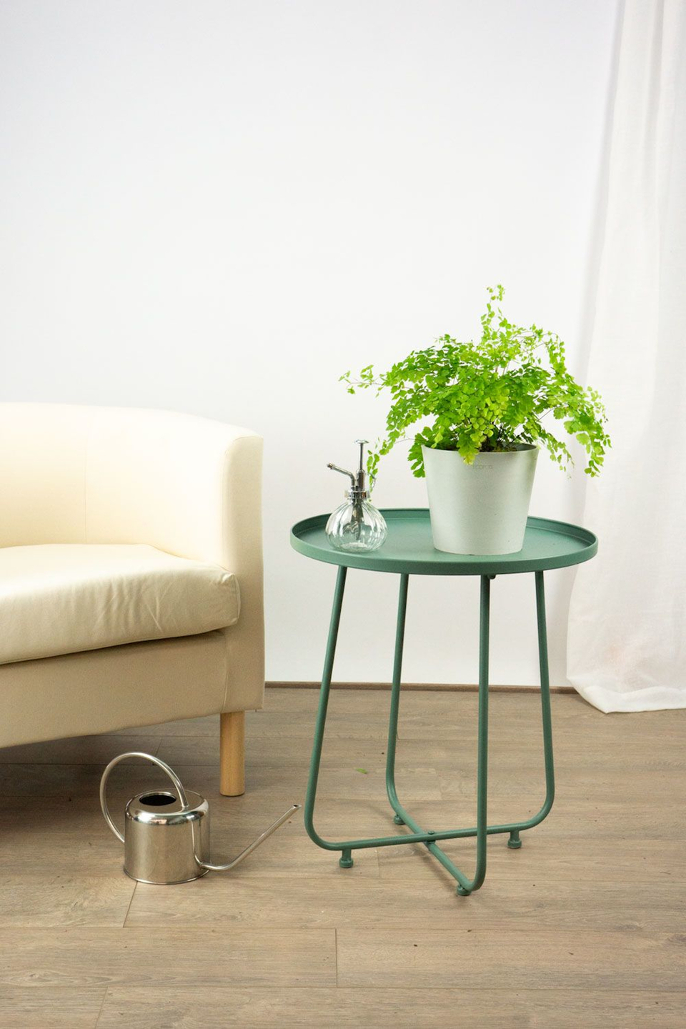 plantas de interior poca luz 12