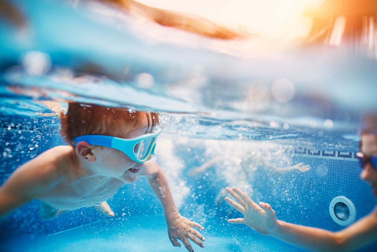Juegos para ninos natación focas