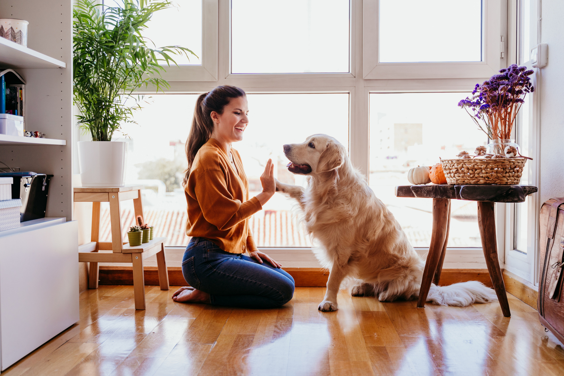 Nombres para perritas en ingles