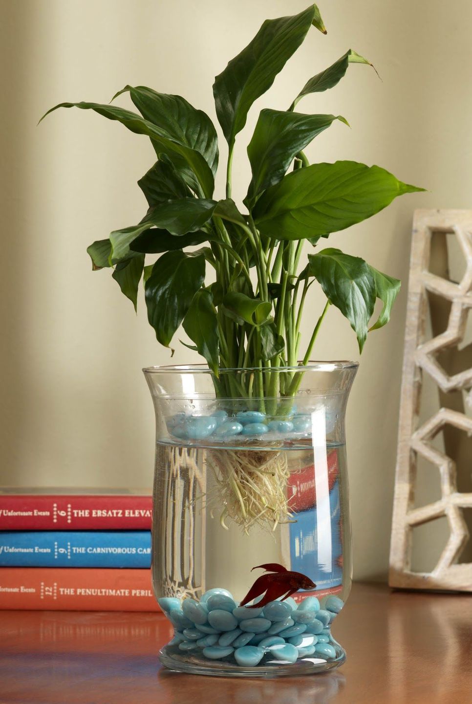 Plantas de interior en agua 9