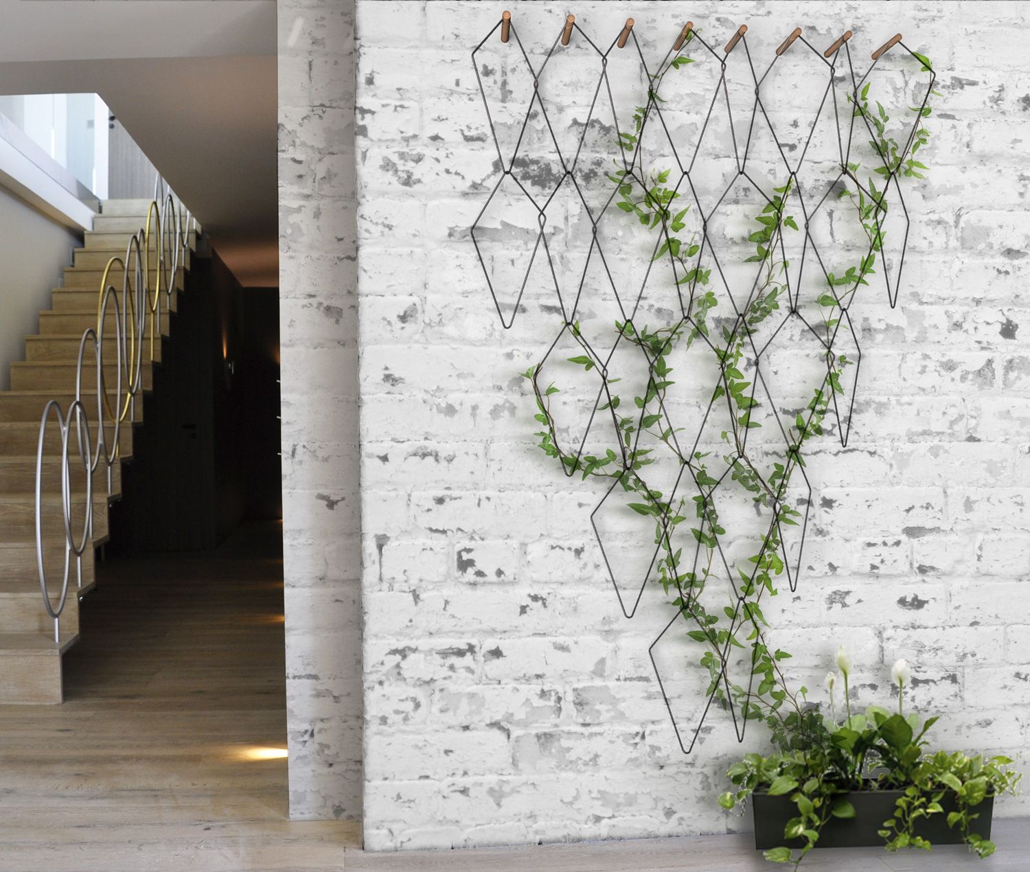 Plantas ornamentales de interior 7