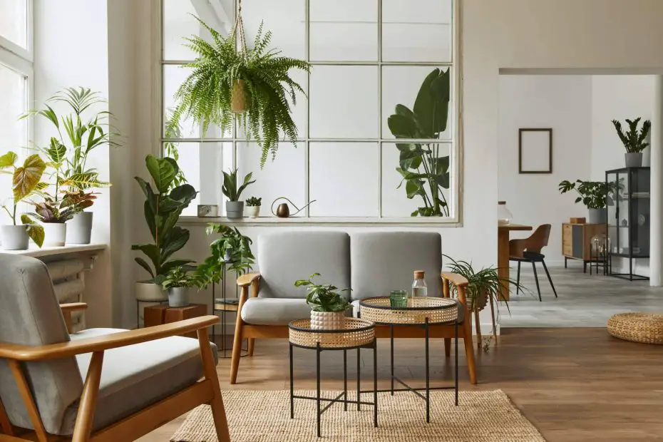 plantas para decorar interiores