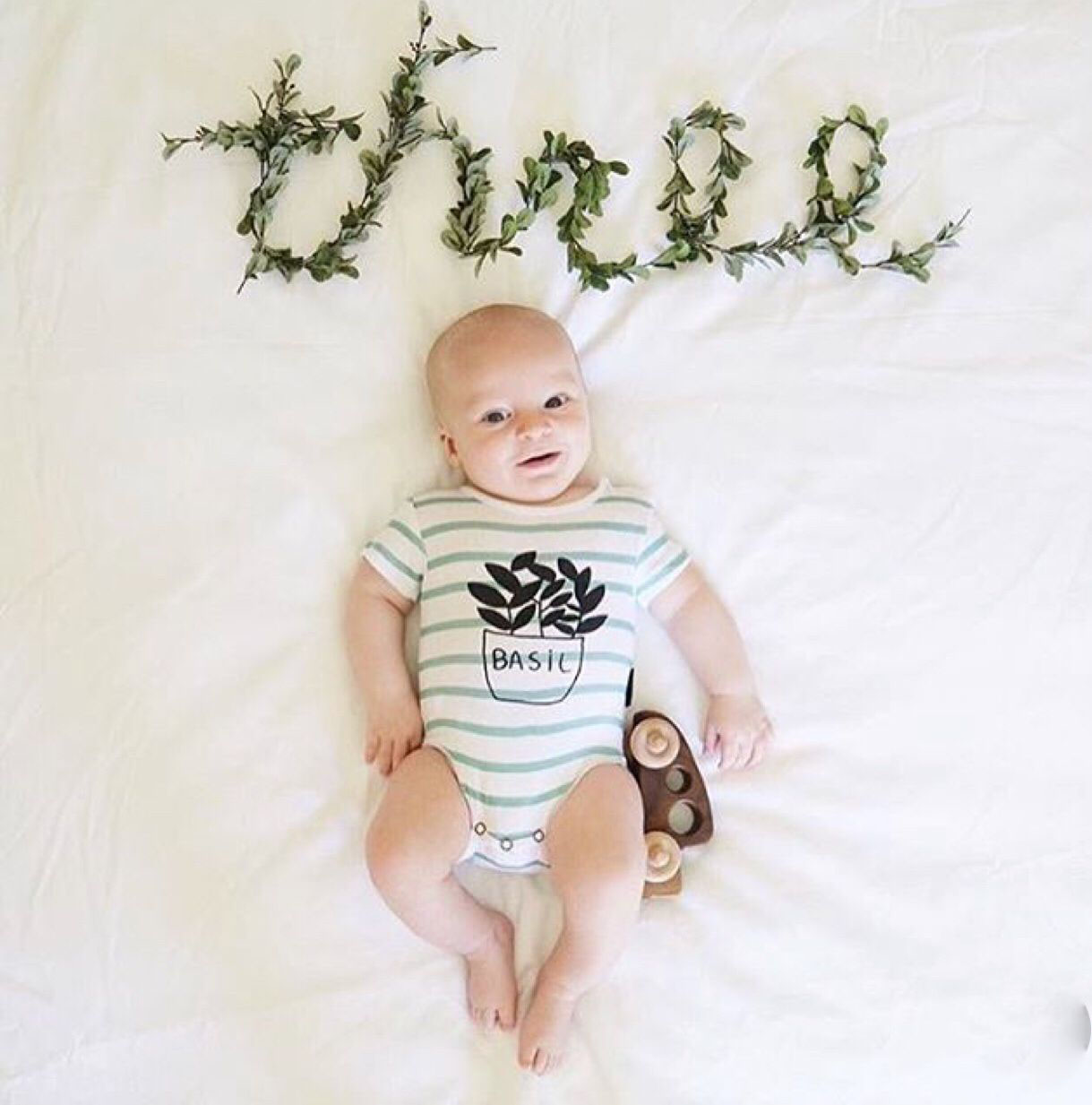 Ideas para fotos de bebes mes a mes 3