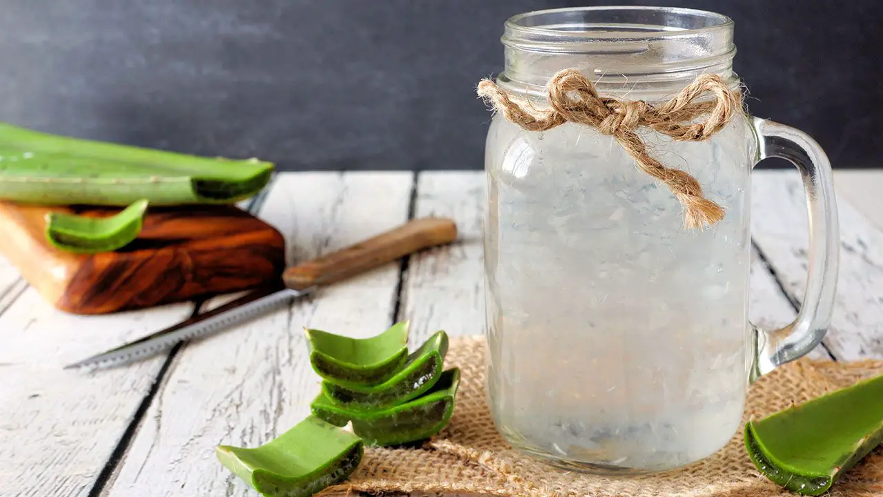 aloe vera para quemaduras aloe vera para quemaduras