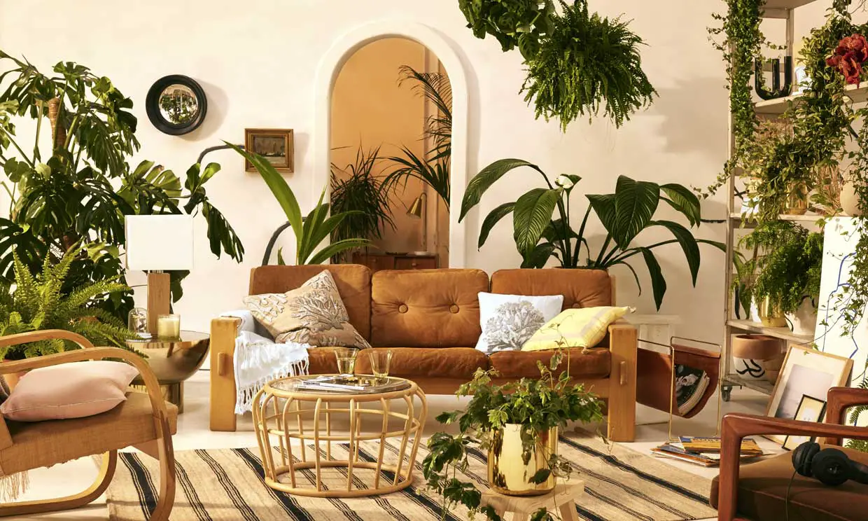 plantas para dentro de la casa g1