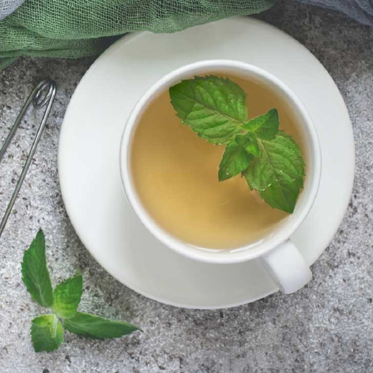 te de menta te de menta