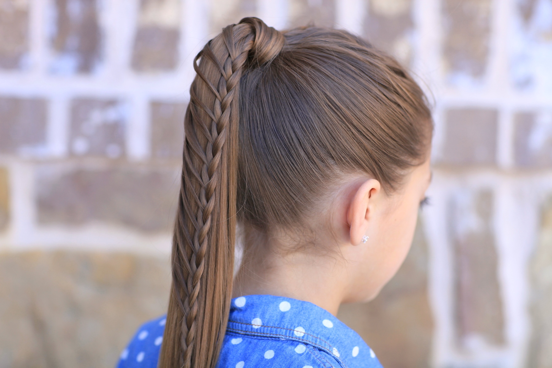 Trenzas con cola de caballo 28