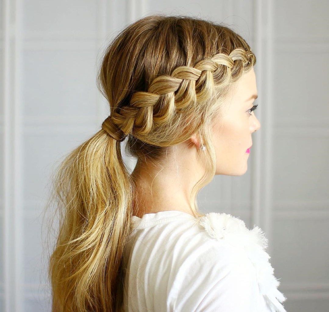 Trenzas con cola de caballo 8