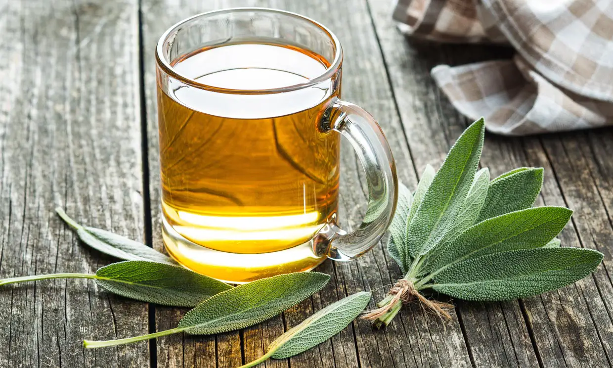 remedios caseros amigdalitis infusion de salvia
