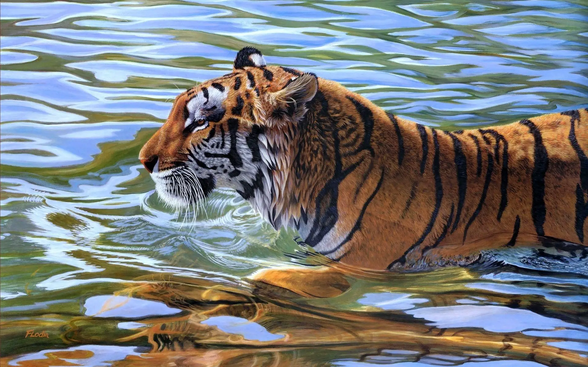 curiosidades de los tigres