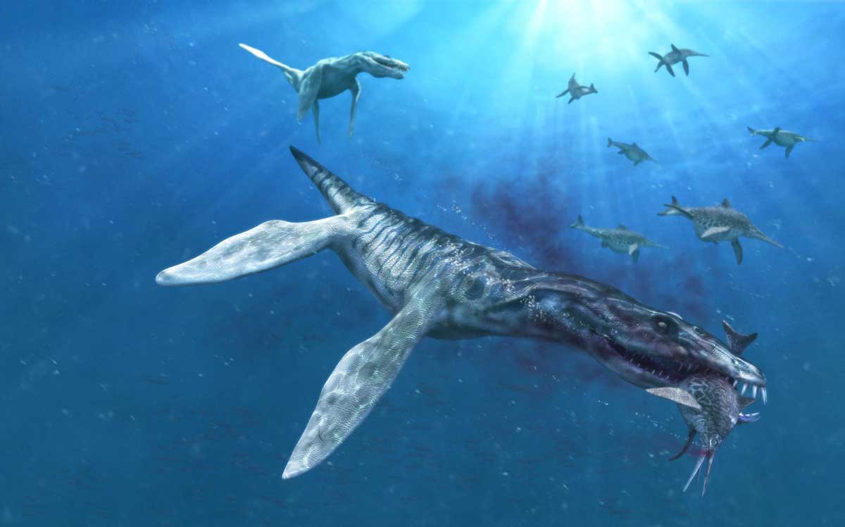 Animales prehistoricos 11