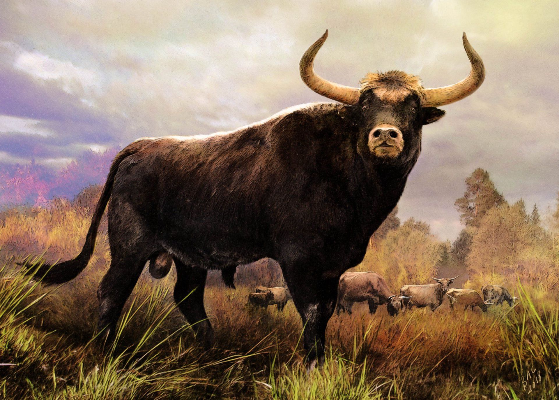 Animales prehistoricos 13