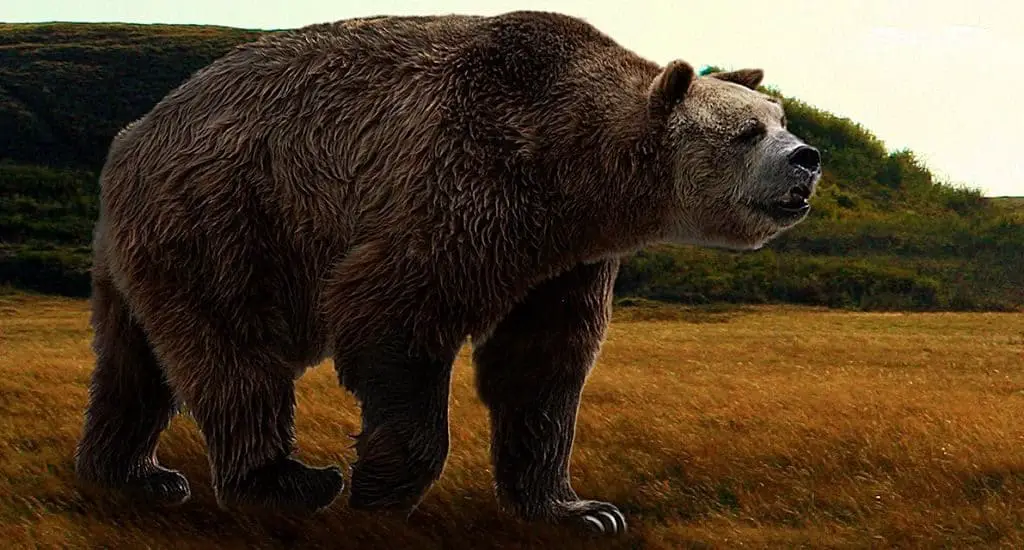 Animales prehistoricos 9