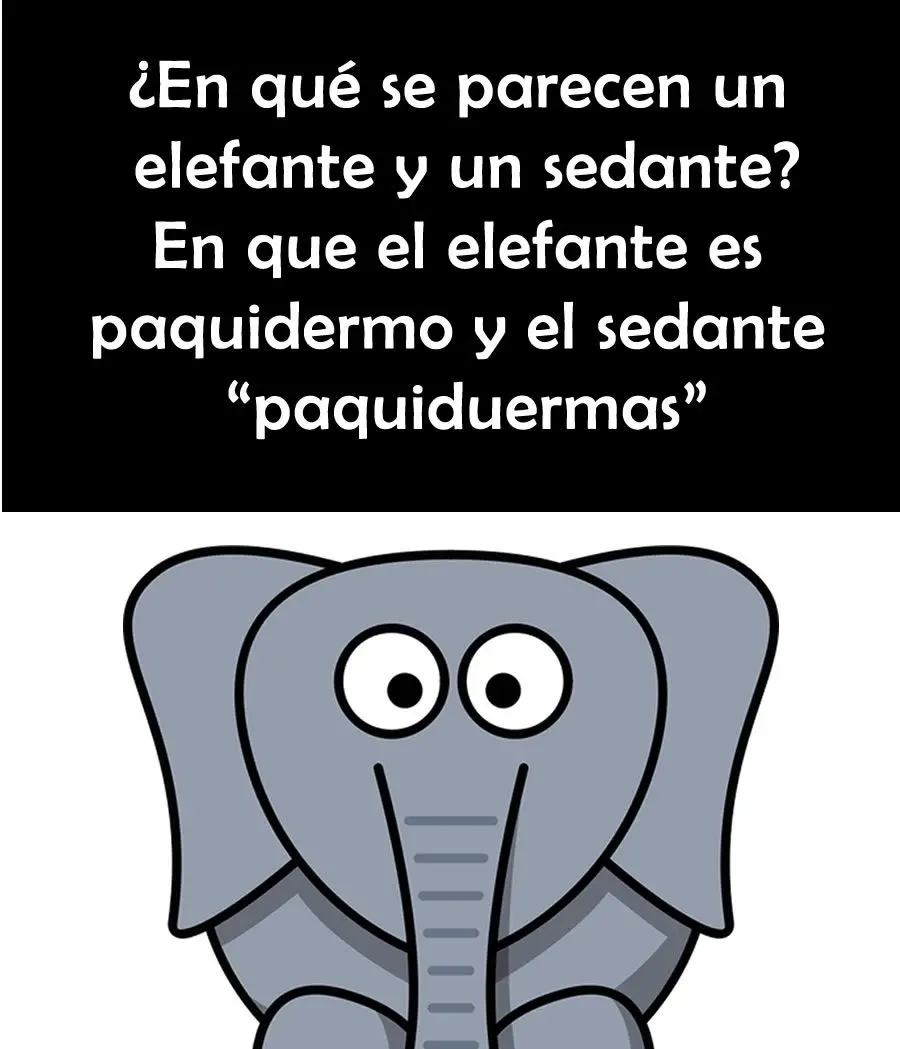 Chistes de animales para reír a carcajadas Chistes de animales para reír a carcajadas