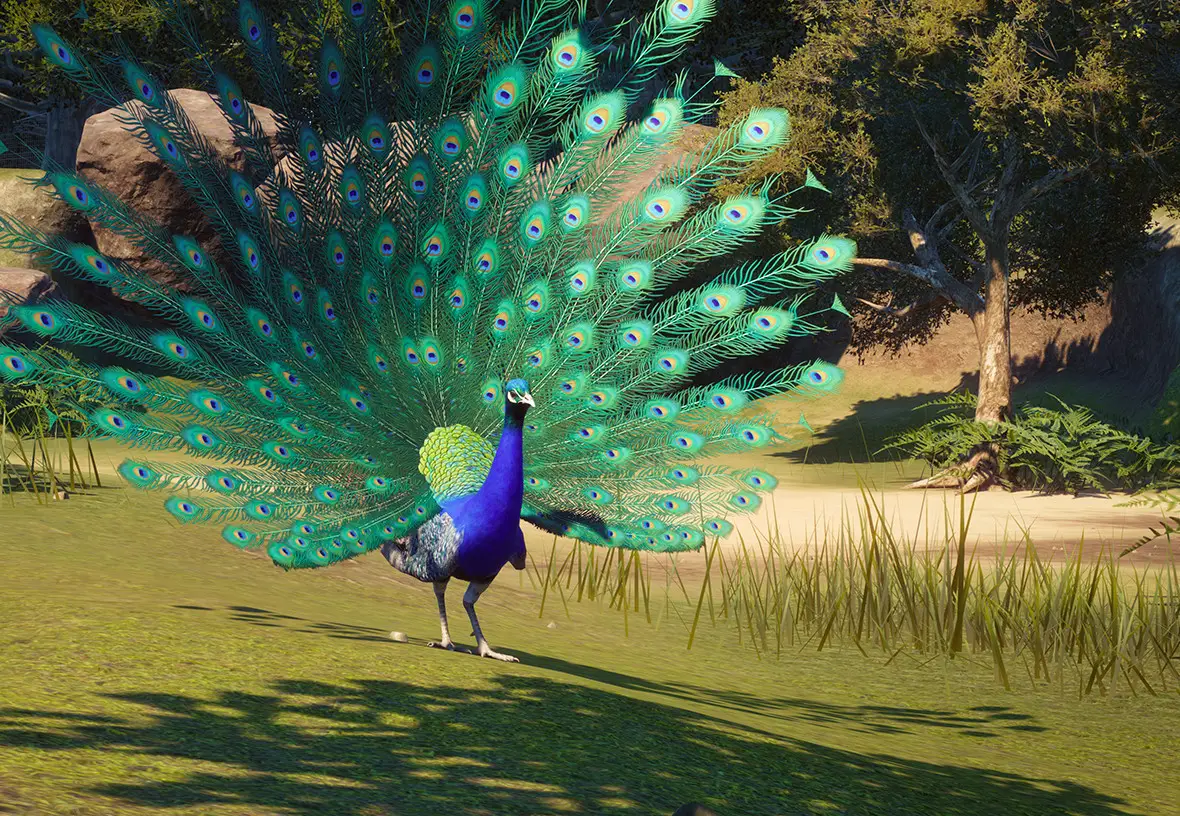 animales bonitos 9