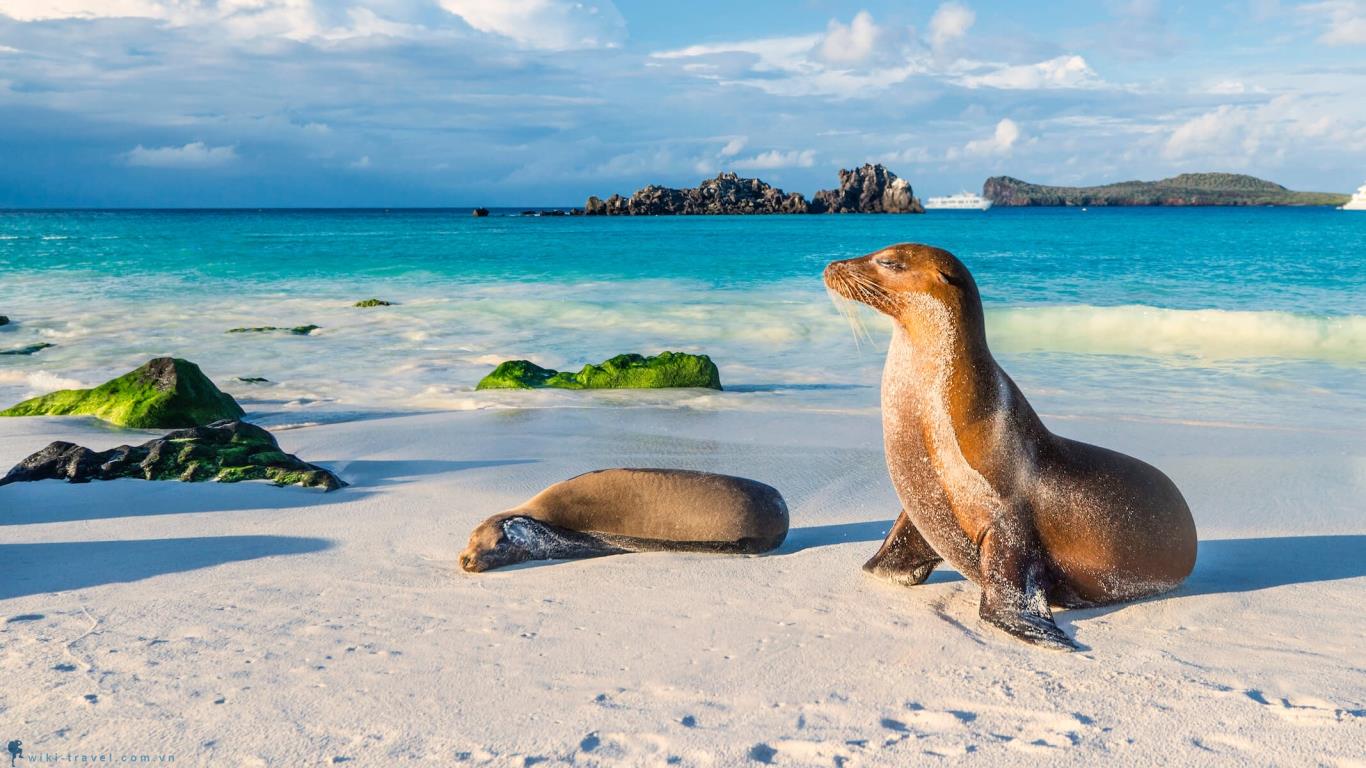 animales galapagos islas