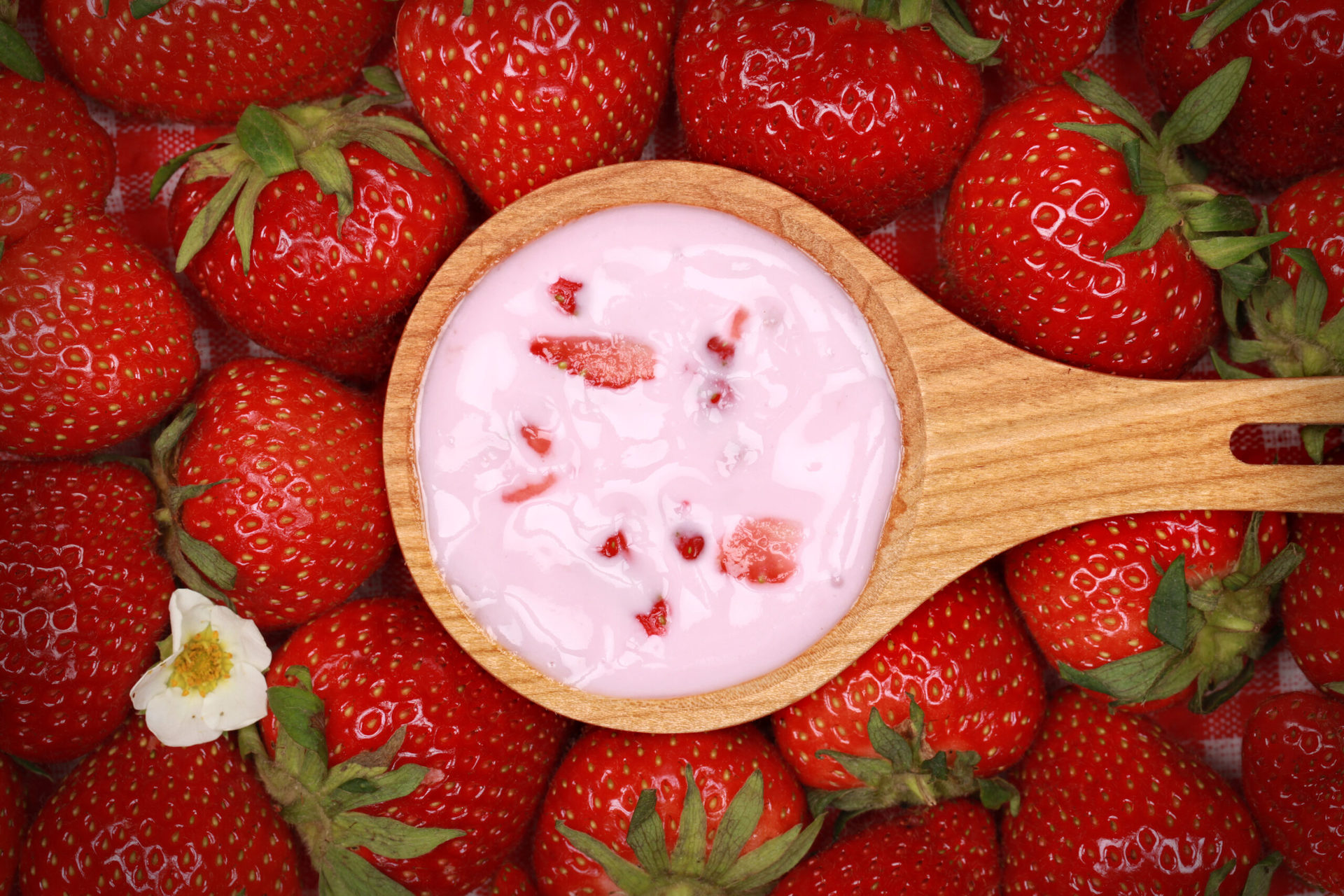 fresas