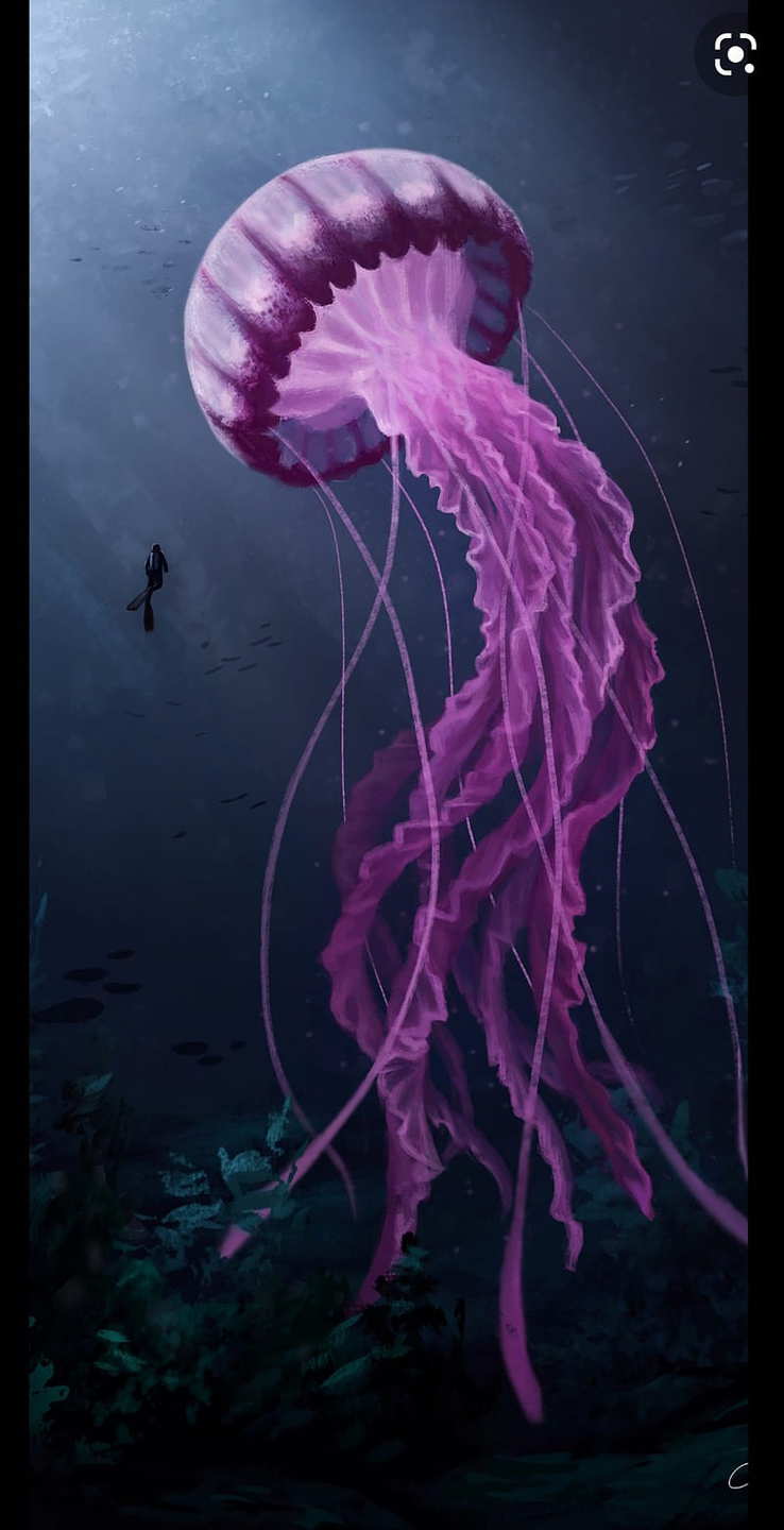 Animales asexuales Animales asexuales
