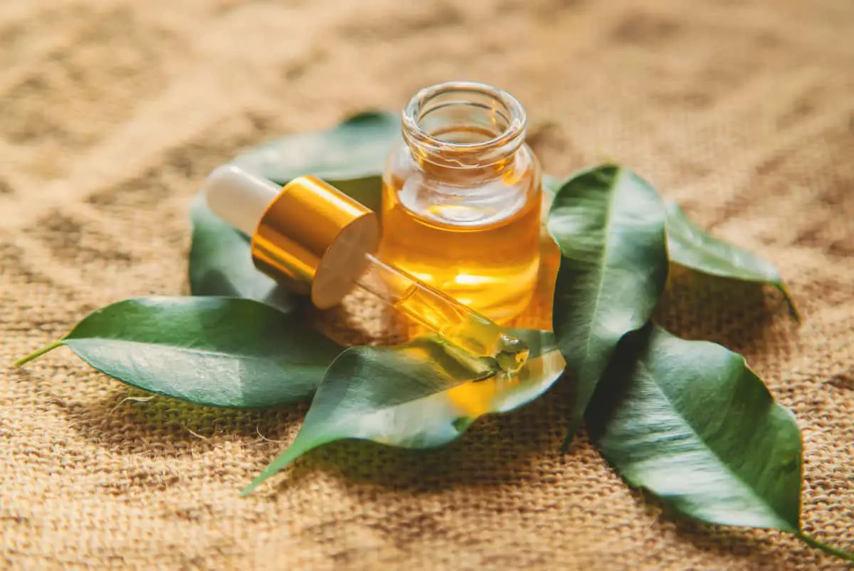 remedios caseros para el acne y las manchas aceite de arbol de te