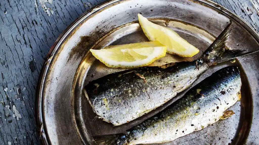 alimentos ricos en calcio sardina