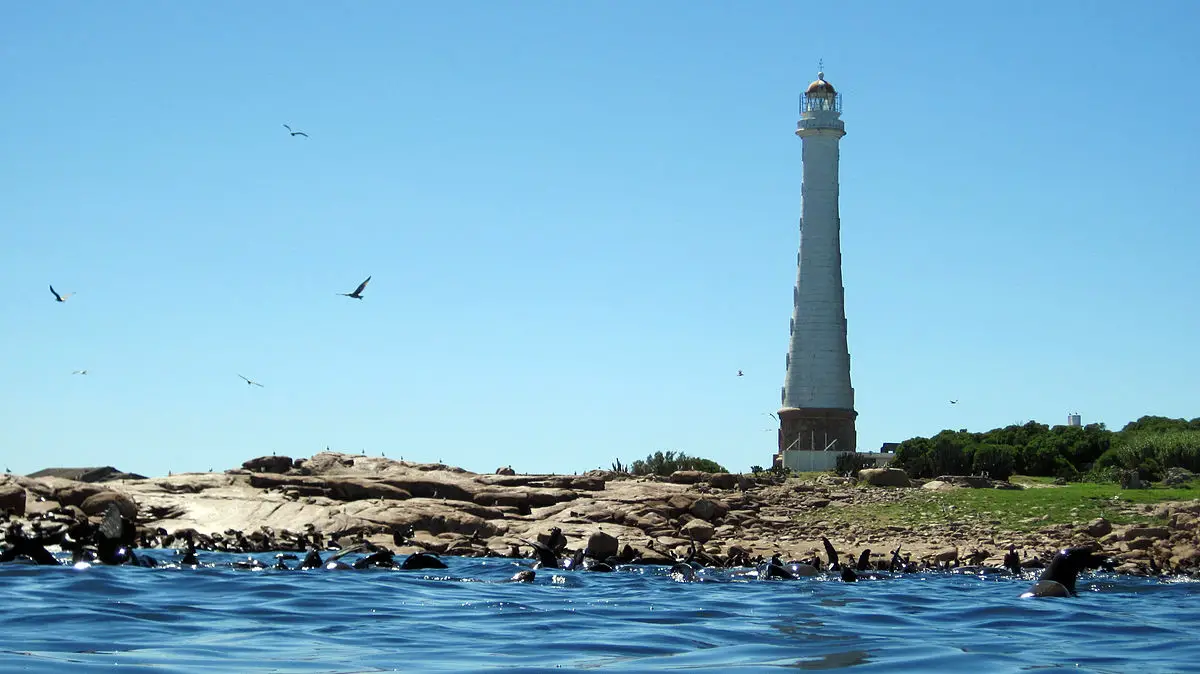 turismo en Uruguay Isla de lobos