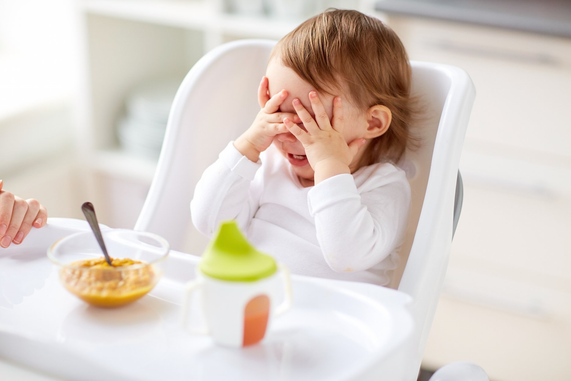 comidas para bebes de 1 ano