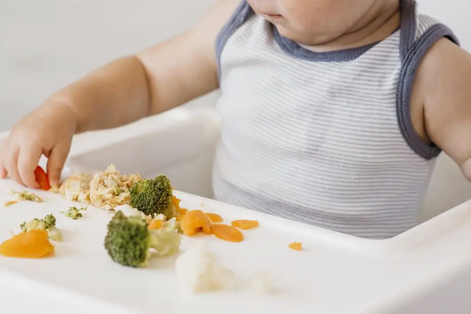 comidas para bebes de 10 meses recetario