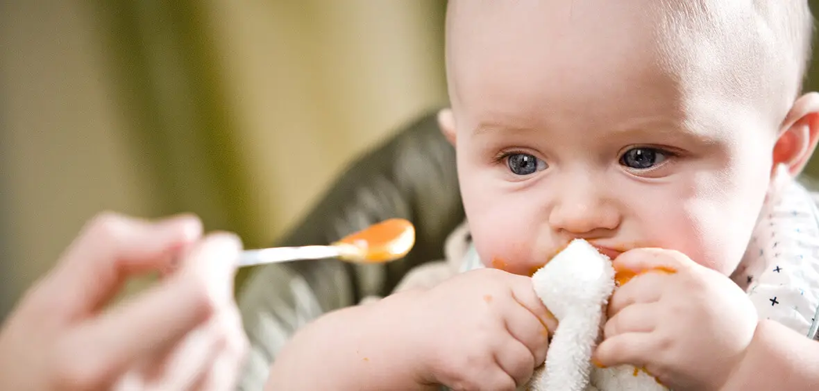 comidas para bebes de 6 meses recetas paso a paso